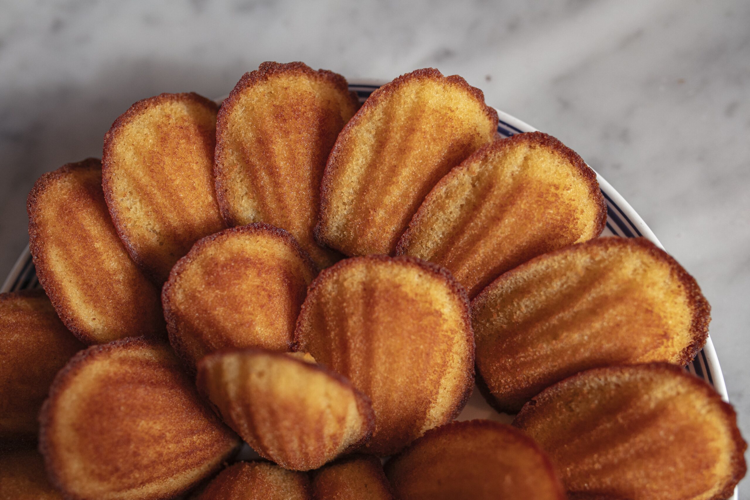 madeleines
